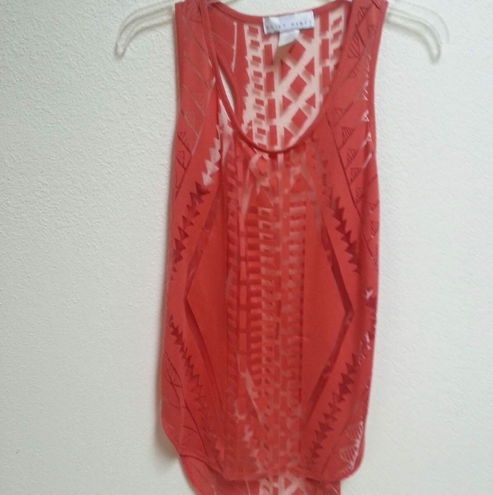 Kelly Renee Peach Sheer Top.